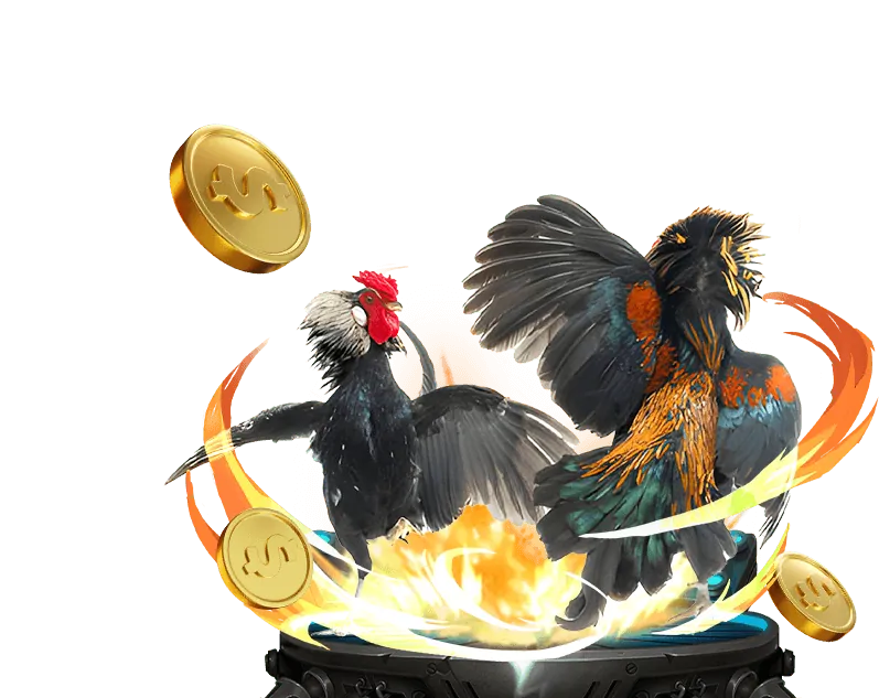 Đá gà truyền thống và hiện đại tại 77bet game